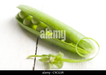 I piselli freschi in pod Foto Stock