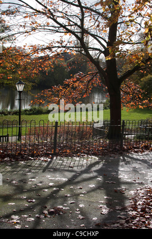 Jephson Giardini in autunno, Leamington Spa, England, Regno Unito Foto Stock