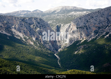 Vista sulla Gola Su Gorruppu canyon, Sardegna, Italia. Foto Stock