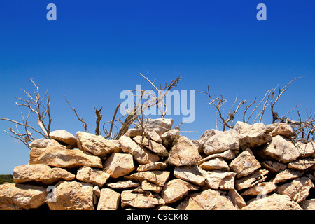 Mediterraneo dei rami secchi e la parete in muratura come simbolo delle Baleari Foto Stock