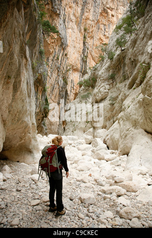 Gola Su Gorruppu canyon, Sardegna, Italia. Foto Stock