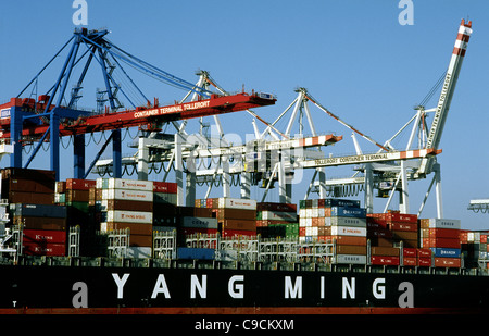 Taiwan nave mercantile Yang Ming Utopia a Tollerort terminale per container nel porto di Amburgo. Foto Stock