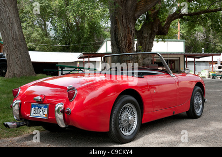 Austin Healey Sprite a valle Orchard Farm e Ponte nero cantina, Paonia, Colorado. Foto Stock