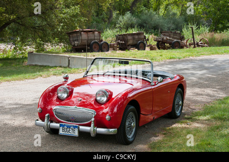 Austin Healey Sprite a valle Orchard Farm e Ponte nero cantina, Paonia, Colorado. Foto Stock