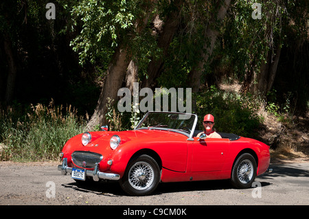 Una donna che aziona una Austin Healey Sprite vicino Orchard Valley Farm e Ponte nero cantina, Paonia, Colorado. Foto Stock