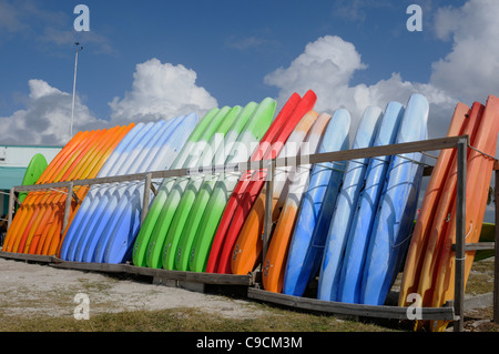 I kayak e noleggio di barche a vela business sulla costa del golfo vicino a Dunedin Florida USA Foto Stock