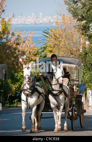 Un cavallo e carrozza a Buyukada uno dei principi isole con Istanbul in Turchia di sfondo Foto Stock
