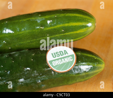 Produzione biologica cetrioli con USDA etichetta che mostra il soddisfare le norme in materia di utilizzo del termine "organico". Foto Stock