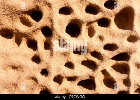 Gli sfondi e le texture - Vista dettagliata del pezzo di tufo. Foto Stock