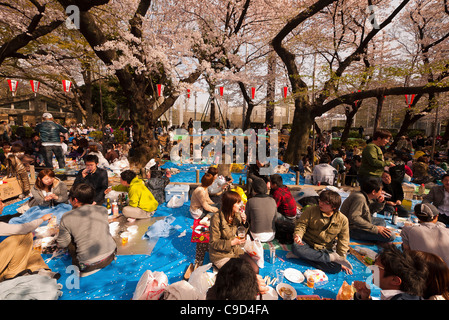 Giappone, Tokyo, il parco Ueno, Hanami cherry blossom la visualizzazione di parti sotto gli alberi di ciliegio in piena fioritura Foto Stock