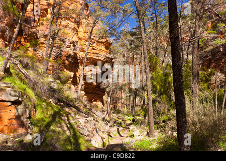 Alligator Gorge nel Mount Remarkable National Park vicino a Wilmington nel sud di Flinders Ranges Foto Stock