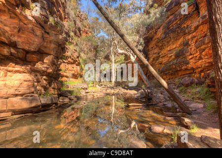 Alligator Gorge nel Mount Remarkable National Park vicino a Wilmington nel sud di Flinders Ranges Foto Stock