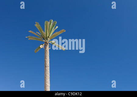 Un telefono cellulare mast nascosto in un albero di palma in Egitto Foto Stock