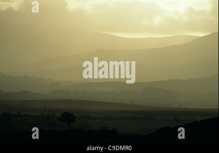 Una nebbiosa mattina nella Contea di Kerry, Repubblica di Irlanda. Foto Stock