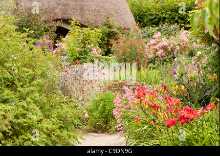 Il Garden cottage in estate, RHS Rosemoor, Devon, Inghilterra, Regno Unito Foto Stock