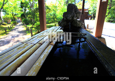 Chouzuya (padiglione di purificazione) bacino d'acqua Foto Stock