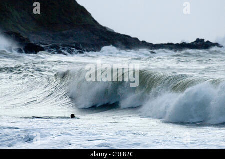 13 dic 2011 - Swansea, Regno Unito - Surfers rendendo la maggior parte della pesante surf la laminazione in Langland Bay, Swansea questa mattina come il Galles del Sud Costa è colpita dal forte vento e pioggia come gli avvisi meteo sono rimasti sul posto. Foto Stock