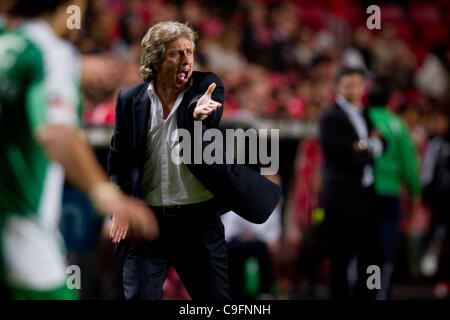 Il Portogallo Liga Zon Sagres xiii round - SL Benfica (SLB) x Rio Ave FC (RAFC) Jorge Gesù SL Benfica Coach Foto Stock