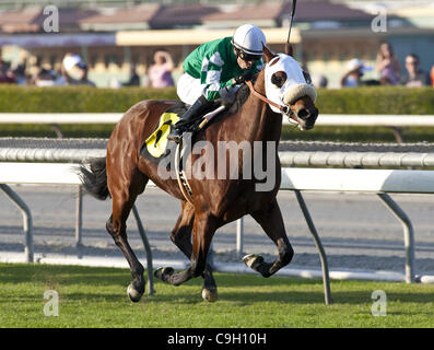 Dic. 31, 2011 - Arcadia, CA, Stati Uniti - 31 dicembre 2011. Tutti i chip in e Alonso Quinonez vincere la Eddie Logan Stakes di Santa Anita Park in Arcadia, CA. (Credito Immagine: © Charles Pravata/eclipse/ZUMAPRESS.com) Foto Stock