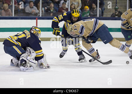 Gen 21, 2012 - South Bend, Indiana, Stati Uniti - Notre Dame ala destra Billy Maday (#17) e Michigan avanti David Wohlberg (#25) battaglia per il puck nella parte anteriore del Michigan goaltender Shawn Hunwick (#31) nel secondo periodo di azione del NCAA hockey gioco tra la cattedrale di Notre Dame e il Michigan. Il Michigan ghiottoni d Foto Stock