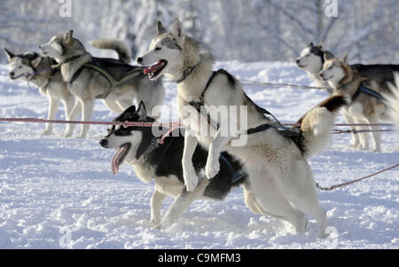 Il team del cane durante la Sedivackuv lunga corsa, Repubblica ceca, 25 gennaio 2012. (CTK foto/Alexandra Mlejnkova) Foto Stock