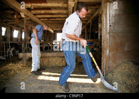 Luglio 11, 2007 - Dixon, Illinois, Stati Uniti d'America - Paul bavature, 28, sinistro e Matt Schumacher, 28, riunite le loro risorse due anni fa per azienda agricola le colture a filari e sollevare il bestiame vicino a Dixon, Illinois, due ore a ovest di Chicago. (Credito Immagine: © Sally Ryan/ZUMA Press) Foto Stock