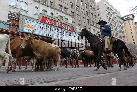 Il San Antonio Stock Show e Rodeo e il San Antonio Convention and Visitors Bureau partner per il Western Heritage Parade e il Cattle Drive sabato 4 febbraio, 2012. Alcuni capi di bestiame longhorn moseyed loro modo lungo Houston Street per la gioia su curiosi. La manifestazione è un preludio a th Foto Stock