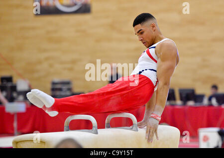 L'inglese campionati di ginnastica Dartford Kent 3.2.12.Lewis Smith Gran Bretagna Foto Stock