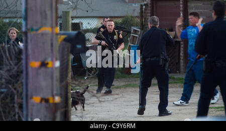 5 marzo 2012 - Modesto, CA, Stati Uniti d'America - Modesto poliziotti tentare di scendere un pit bull cane che era li chargeing come la ricerca di traino sospetti in sospeso. (Il cane è stato sparato e ucciso) un modesto PD officer testimoniato sospetti tiro verso una casa a Roselawn Ave nel sud-ovest di Modesto, CA Lunedì Foto Stock