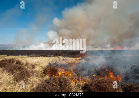 Kirkby Stephen, Cumbria, Regno Unito. 26 mar 2012. Heather moor vengono bruciate in primavera come parte di una controllata di programma di habitat. Foto Stock