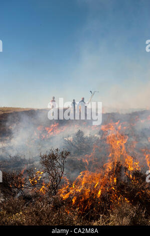 Kirkby Stephen, Cumbria, Regno Unito. 26 mar 2012. I vigili del fuoco chiamati a un incendio di Moro che aveva preso fuori controllo Foto Stock