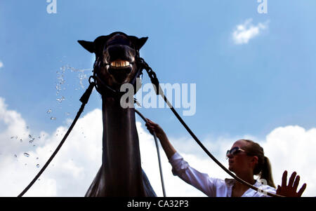 Marzo 30, 2012 - Tampa, FL, Stati Uniti d'America - [KATHLEEN FLYNN l Tampa Bay volte].TP 352190 FLYN equestrian 2 (3/29/2012, Tampa).Krista Dietrich, di Tampa, lavaggi Lucia, sua sorella del cavallo da Keilyn Inc fuori di Lutz durante il Tampa Festival equestre presso la Florida State Fairgrounds, 29 marzo 2012. Eventi Foto Stock