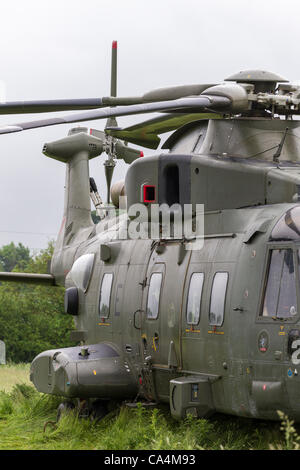 2012-06-07. RAF Merlin mk3 collegato a massa in elicottero a Stanwick Northamptonshire England Regno Unito, fondata su 06-06-2012 a causa di un allentamento pannello in prossimità del rotore posteriore dopo riparazioni sperando di prendere e tornare a RAF Benson più tardi questa mattina. Foto Stock