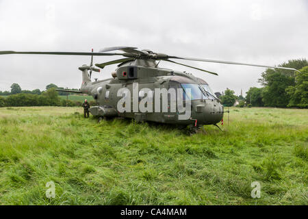 2012-06-07. RAF Merlin mk3 collegato a massa in elicottero a Stanwick Northamptonshire England Regno Unito, fondata su 06-06-2012 a causa di un allentamento pannello in prossimità del rotore posteriore dopo riparazioni sperando di prendere e tornare a RAF Benson più tardi questa mattina. Foto Stock