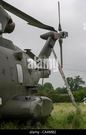 2012-06-07. RAF Merlin mk3 collegato a massa in elicottero a Stanwick Northamptonshire England Regno Unito, fondata su 06-06-2012 a causa di un allentamento pannello in prossimità del rotore posteriore dopo riparazioni sperando di prendere e tornare a RAF Benson più tardi questa mattina. Foto Stock