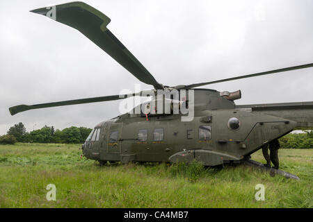 2012-06-07. RAF Merlin mk3 collegato a massa in elicottero a Stanwick Northamptonshire England Regno Unito, fondata su 06-06-2012 a causa di un allentamento pannello in prossimità del rotore posteriore dopo riparazioni sperando di prendere e tornare a RAF Benson più tardi questa mattina. Foto Stock