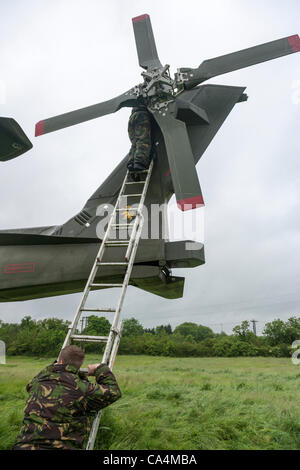 2012-06-07. RAF Merlin mk3 collegato a massa in elicottero a Stanwick Northamptonshire England Regno Unito, fondata su 06-06-2012 a causa di un allentamento pannello in prossimità del rotore posteriore dopo riparazioni sperando di prendere e tornare a RAF Benson più tardi questa mattina. Foto Stock