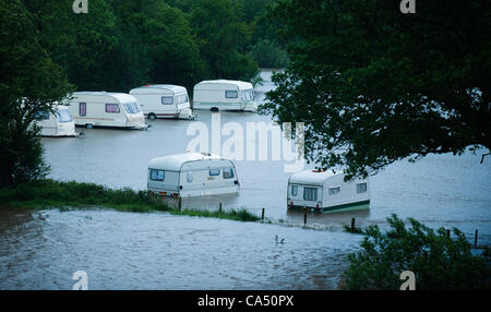 Due giorni di pioggia costante portano al fiume Rheidol traboccante le sue banche vicino a Aberystwyth. Caravan e tende sono stati parzialmente sommerso a Grovenor roulotte alla periferia della città. Aberystwyth Wales UK, venerdì 8 giugno 2012 Foto Stock