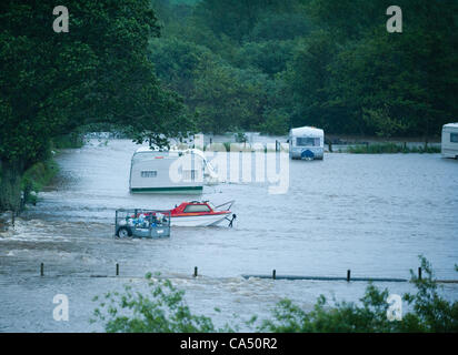 Due giorni di pioggia costante portano al fiume Rheidol traboccante le sue banche vicino a Aberystwyth. Caravan e tende sono stati parzialmente sommerso a Grovenor roulotte alla periferia della città. Aberystwyth Wales UK, venerdì 8 giugno 2012 Foto Stock