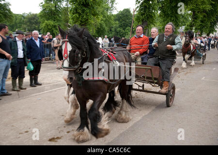 Decimo Giugno 2012 a Appleby, Cumbria, Regno Unito. Tre uomini di trotto una pratica carrello lungo la strada a Appleby Fair, il più grande raduno annuale di zingari e nomadi in Europa. La domenica è tradizionalmente un giorno occupato per cavallo di trading e i visitatori della fiera, che corre 7th-13th giugno. Foto Stock