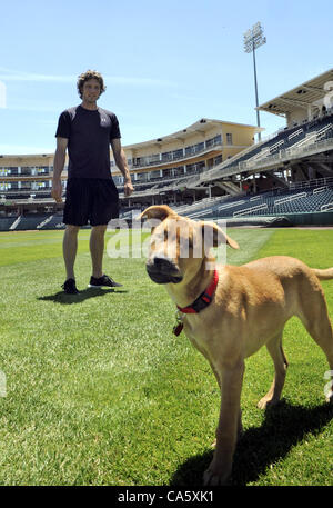 Giugno 12, 2012 - Albuquerque, NM, Stati Uniti - Shephard mix che è stato adottato dalla brocca John Ely degli isotopi è diventata una sorta di club house mascotte ottiene una corsa attraverso il fuori campo in isotopi park. Martedì, 12 giugno 2012. (Credito Immagine: © Jim Thompson/Albuquerque ufficiale/ZUMAPRESS.com) Foto Stock