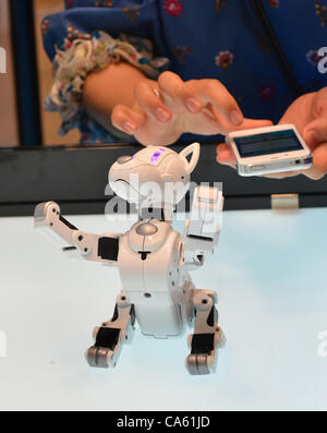 Giugno 14, 2012, Tokyo, Giappone - Takara Tomys cane robot, il Omnibot I-SODOG, è controllato da uno smartphone durante una dimostrazione presso il Tokyo Toy Show di giovedì, 14 giugno 2012, a Tokyo. <br><br> controllato da uno smartphone, il robot si muove come un vero e proprio cane utilizzando 15 custom-designed servo m Foto Stock