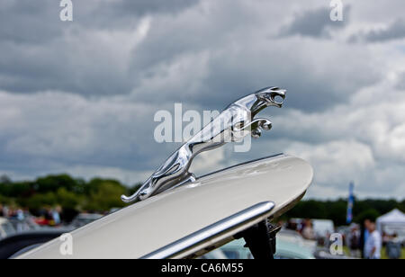 Woburn Bedforshire REGNO UNITO UN SALTO Jaguar ornamento del cofano sul display per tutti di vedere al classico auto al giorno Foto Stock