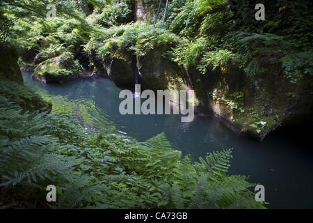 Giugno 15, 2012 - Yamanaka Onsen, Giappone - 15 Giugno 2012 - Yamanaka Onsen, Giappone - Yamanaka Onsen è una piccola città a Kaga Prefettura, nel Giappone occidentale, famoso per la sua Onsen, o naturali caldi bagni termali. Alberi a sbalzo Daishoji il fiume. (Credito Immagine: © David Poller/ZUMAPRESS.com) Foto Stock