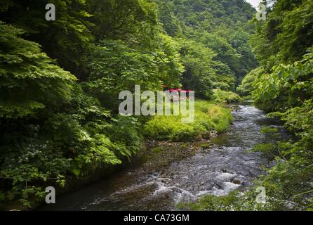 Giugno 15, 2012 - Yamanaka Onsen, Giappone - 15 Giugno 2012 - Yamanaka Onsen, Giappone - Yamanaka Onsen è una piccola città a Kaga Prefettura, nel Giappone occidentale, famoso per la sua Onsen, o naturali caldi bagni termali. Case da tè con una vista del fiume Daishoji. (Credito Immagine: © David Poller/ZUMAPRESS.com) Foto Stock