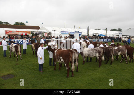 Ingliston , Edimburgo, Scozia. Il 21 giugno, 2012. Un esordio bagnato per la 172nd Royal Highland Show presso il Royal Highland Centre,Ingliston,Edimburgo. Foto Stock