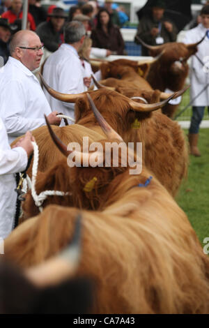 Ingliston , Edimburgo, Scozia. Il 21 giugno, 2012. Un esordio bagnato per la 172nd Royal Highland Show presso il Royal Highland Centre,Ingliston,Edimburgo. Foto Stock