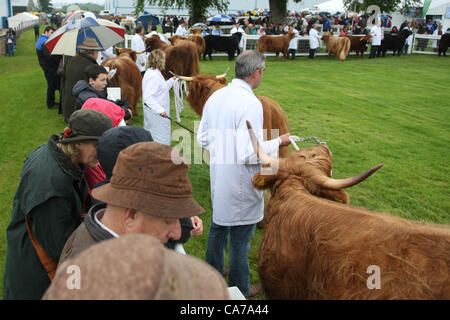 Ingliston , Edimburgo, Scozia. Il 21 giugno, 2012. Un esordio bagnato per la 172nd Royal Highland Show presso il Royal Highland Centre,Ingliston,Edimburgo. Foto Stock