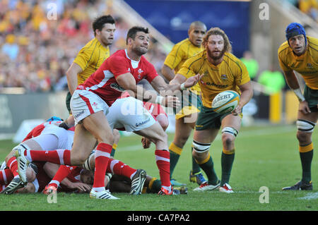 23.06.2012 Sydney , Australia.Welsh scrum metà Mike Phillips in azione durante il Castrol EDGE internazionale di rugby tra Australia e Galles al Allianz Stadium di Sydney. Foto Stock