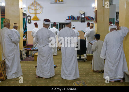 NABLUS, West Bank - 24 giugno : i membri delle antiche comunità samaritana prega durante il giorno santo di Shavuot in Monte Gherizim il 24 giugno 2012, Shavuot è una vacanza commemoretas l'anniversario del giorno in cui Dio ha dato la Torah ad Israele Foto Stock